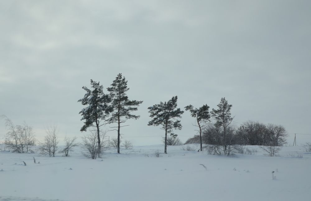 Photograph by Дарья Юсарева