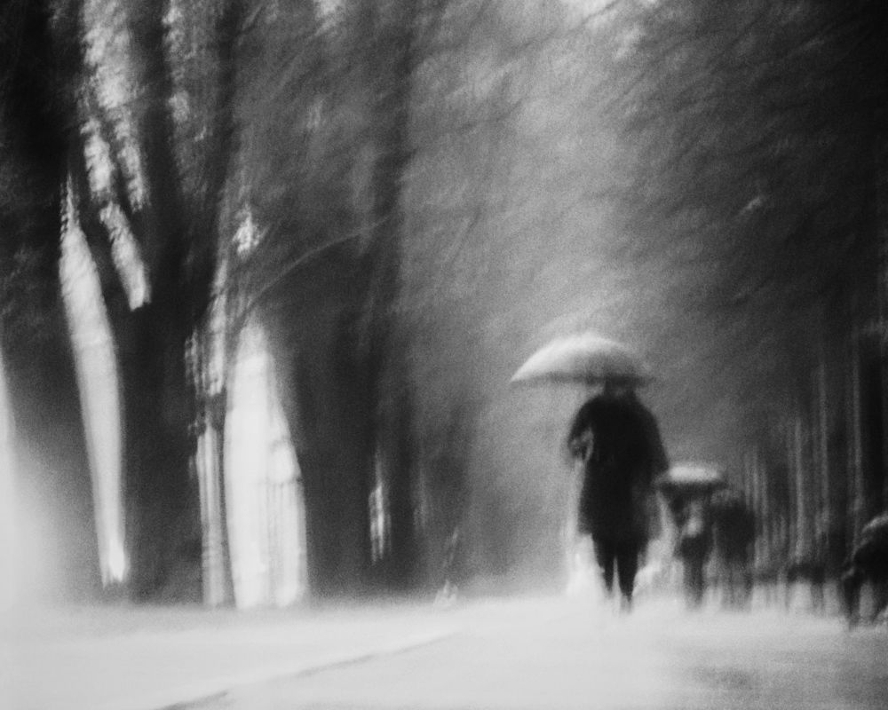 Photograph by Paul Suciu