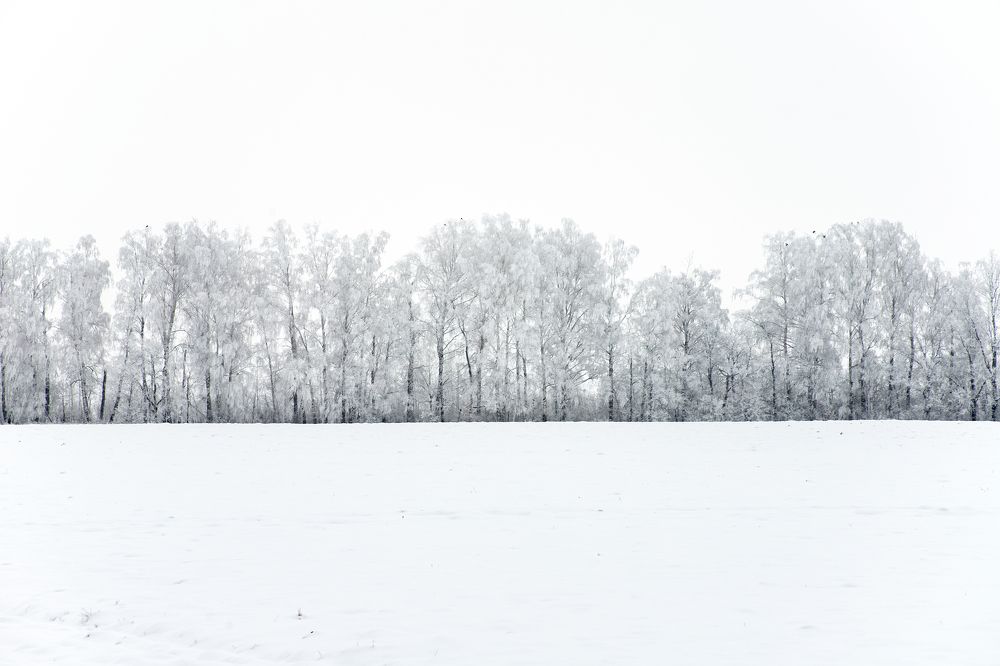 Photograph by Богдан Тарасов