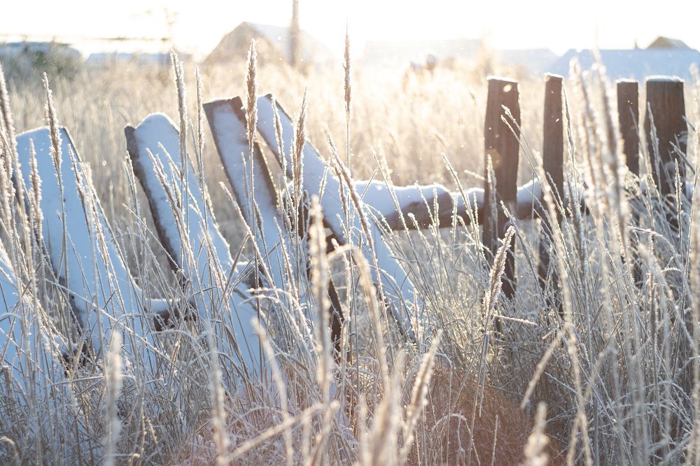 Photograph by Богдан Тарасов