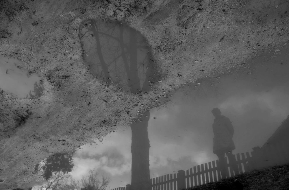 Photograph by Daina Burve