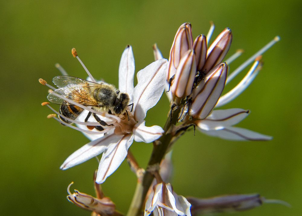 Photograph by Alexandros Melidis