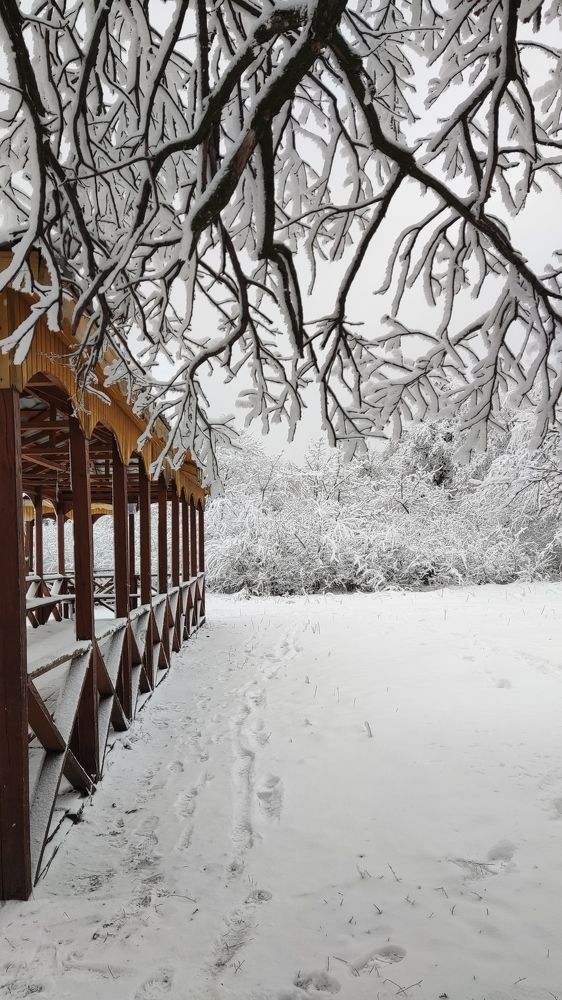 Photograph by Анастасия Власова