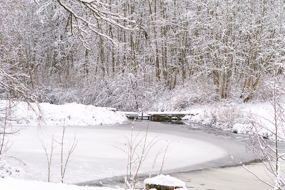 Photograph by Ilja Enger-Tsizikov