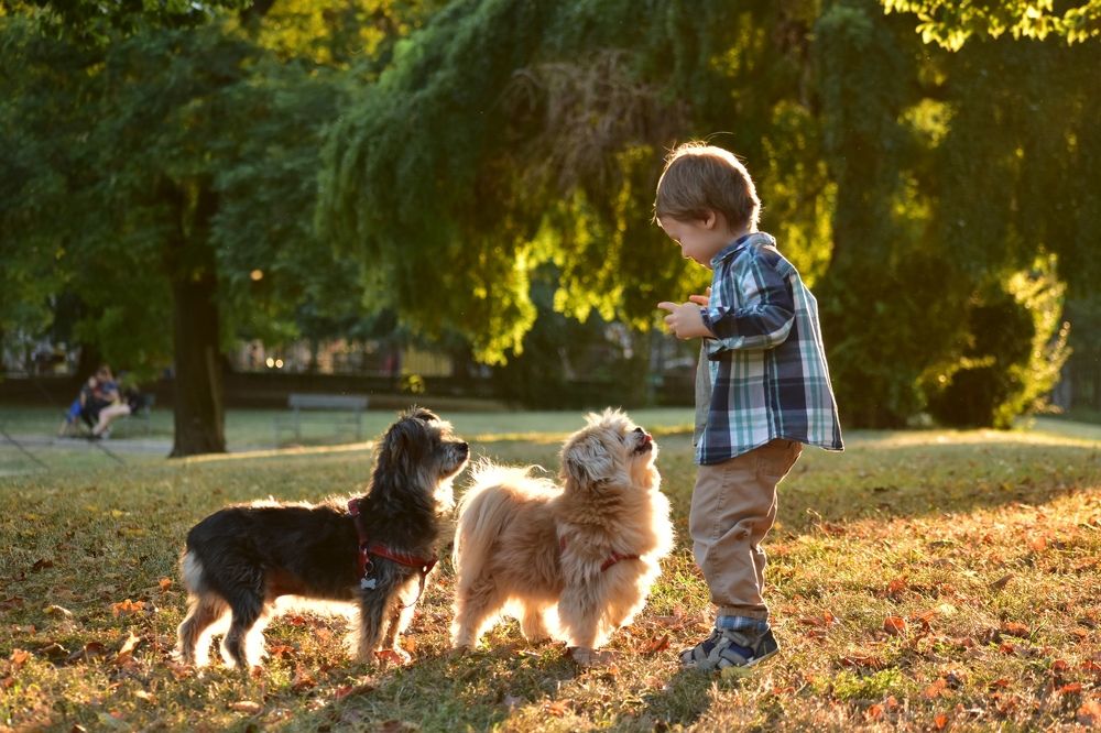 Photograph by Никуличева Екатерина