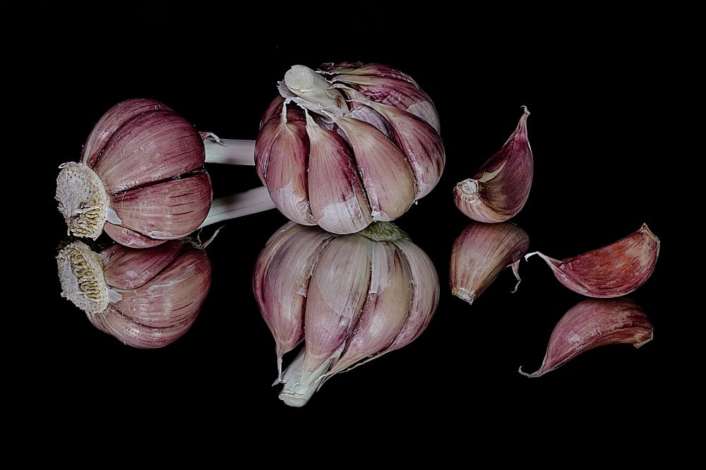 Photograph by Rui Santos