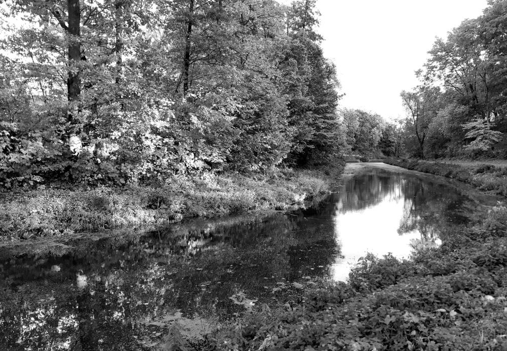 Photograph by Ламейко Светлана