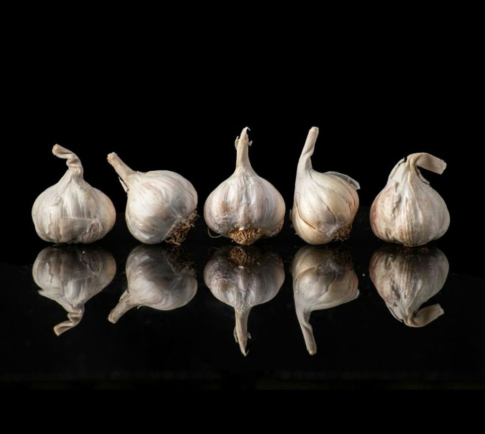 Photograph by Utkarsh Sinha