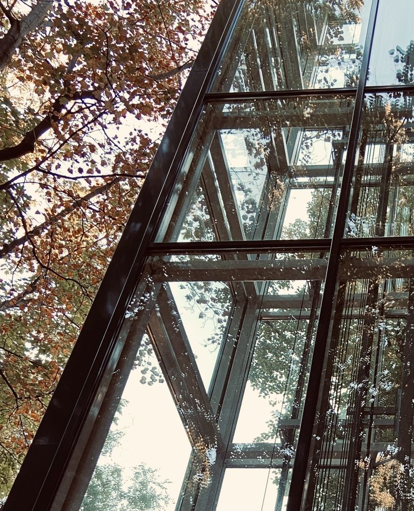 Photograph by Юлия Индюкова