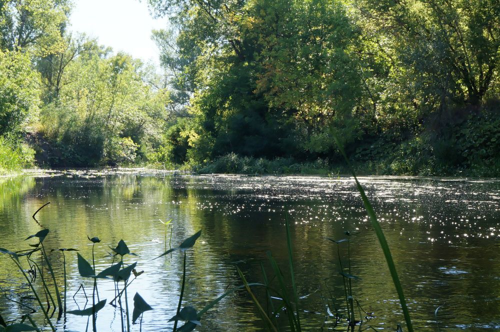 Photograph by Ольга Новикова