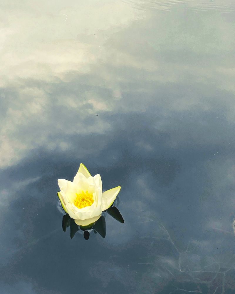 Одиночество