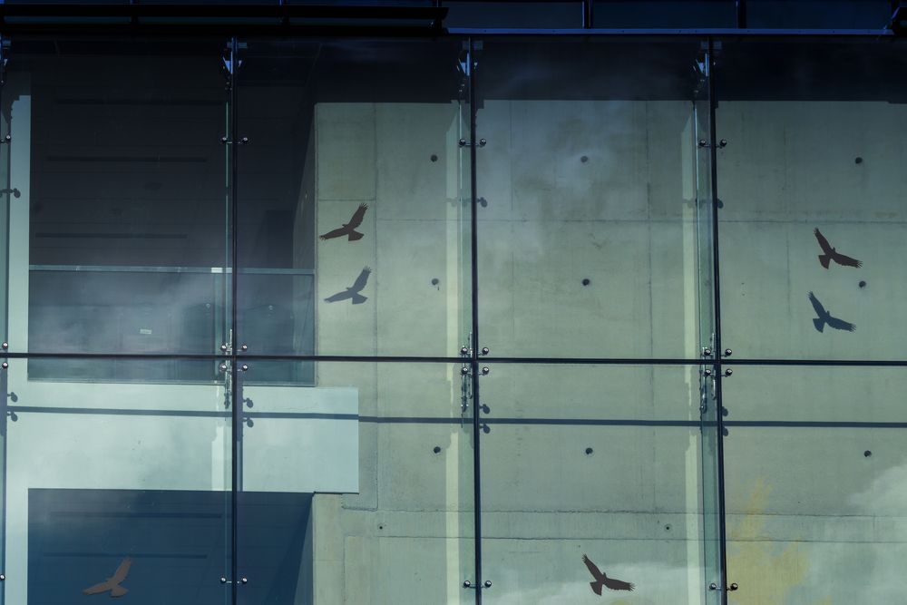 Photograph by Dariusz Budyta