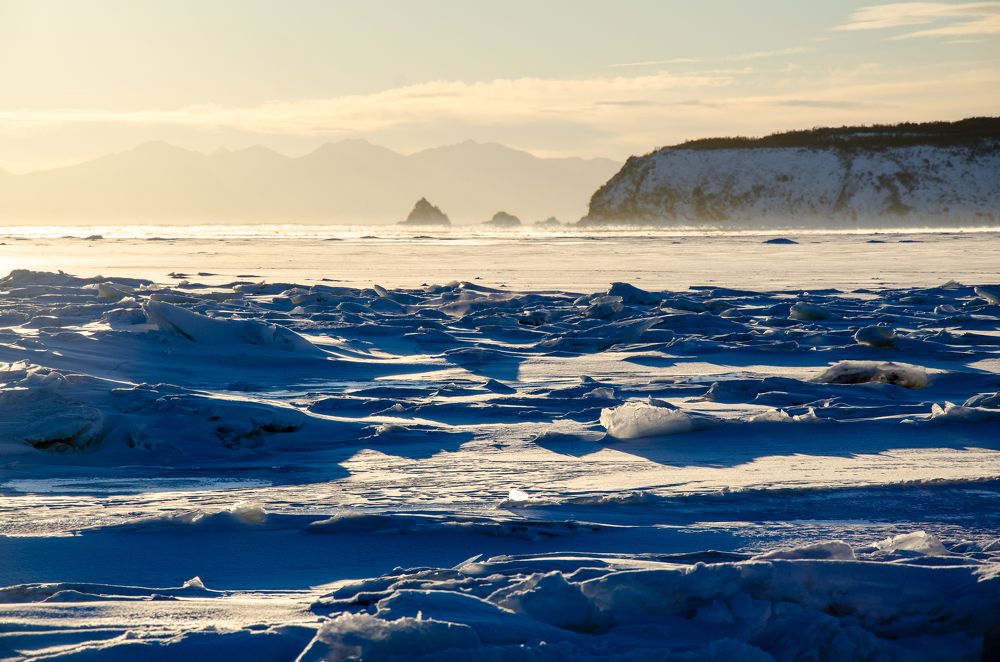 Photograph by Галина Проценко