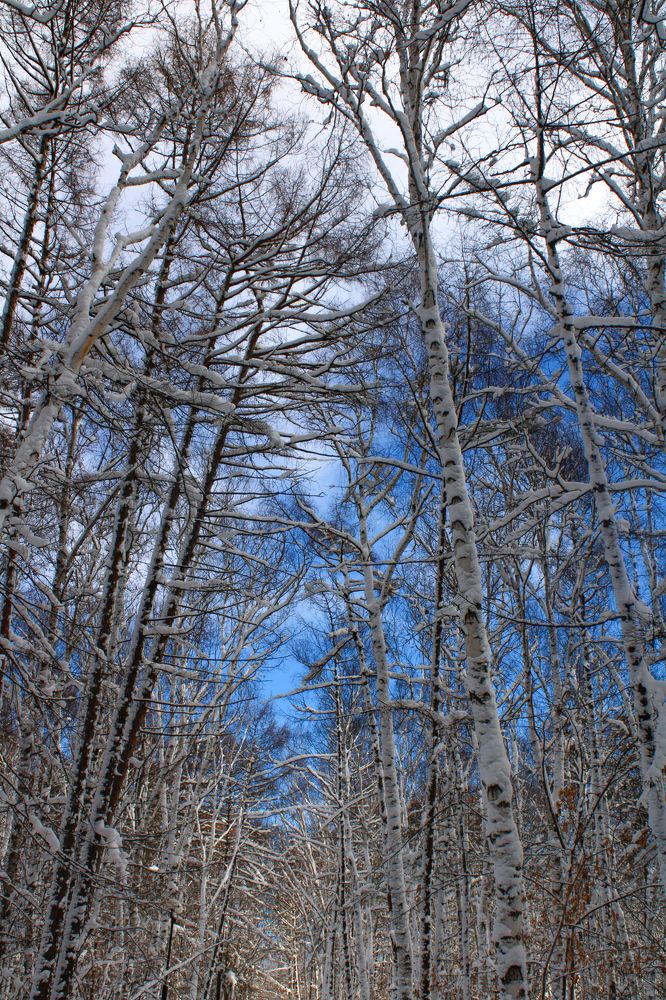 Photograph by Дарья