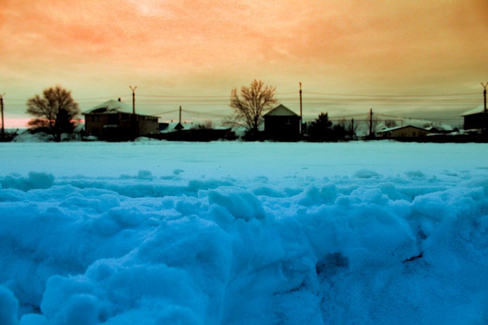 Photograph by Дарья