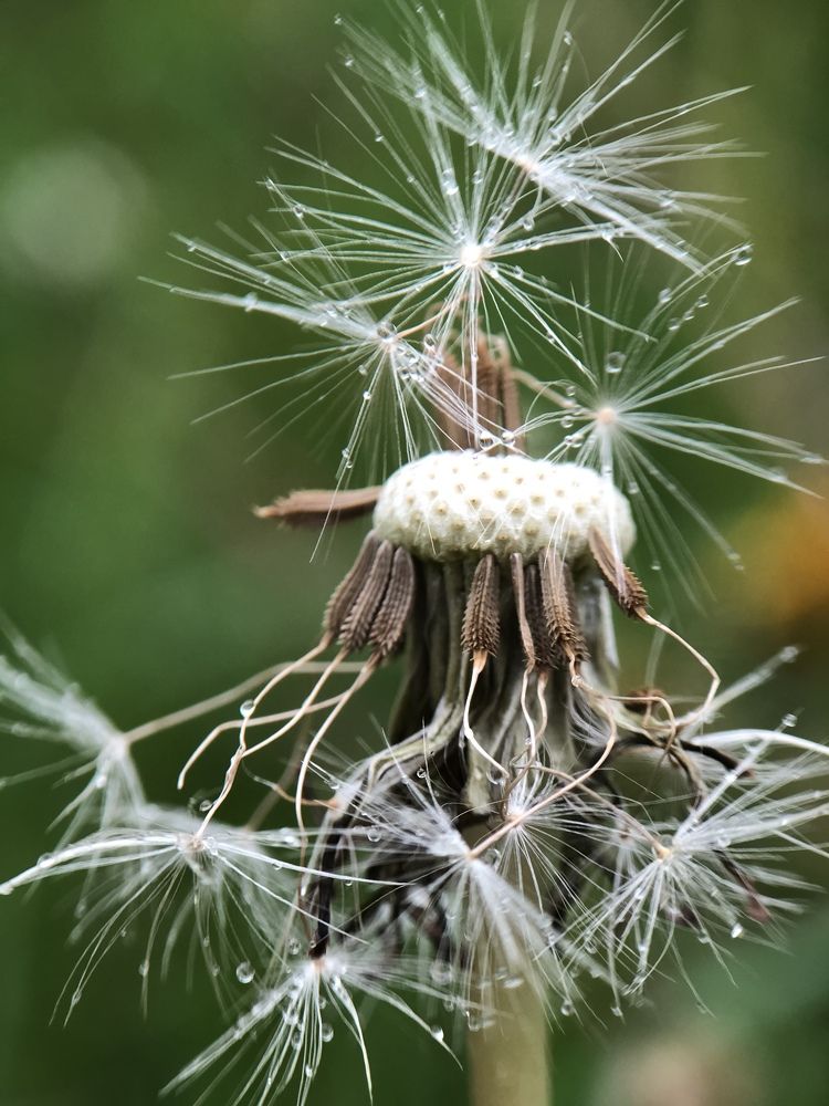 Photograph by Nadzeya Sukhenko