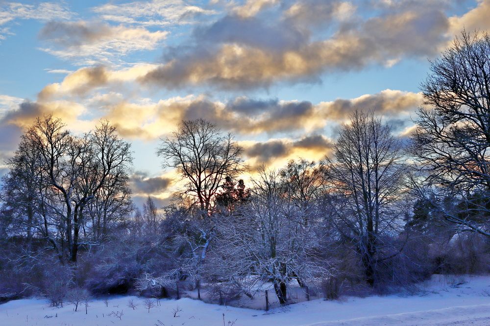 Фотография автора Сергей Барановский