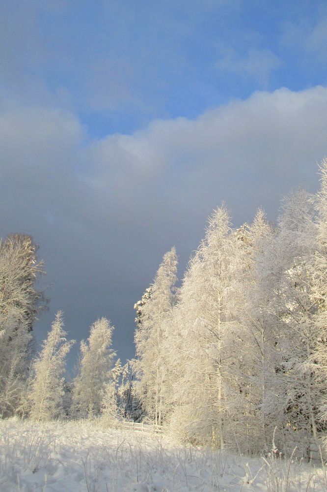 Фотография автора Сергей Барановский