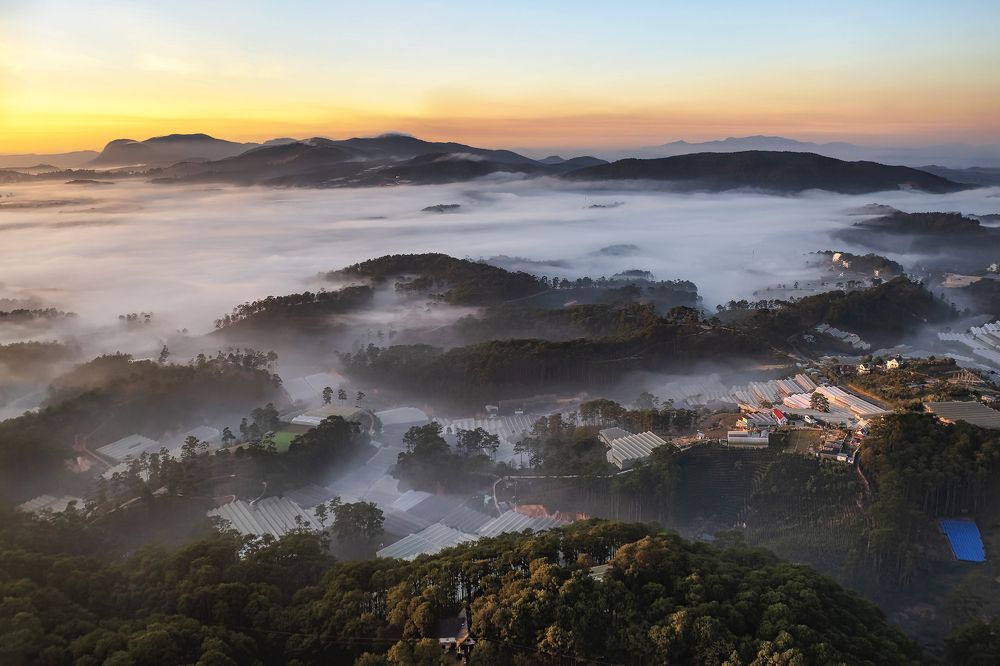 Photograph by PARTHA ROY