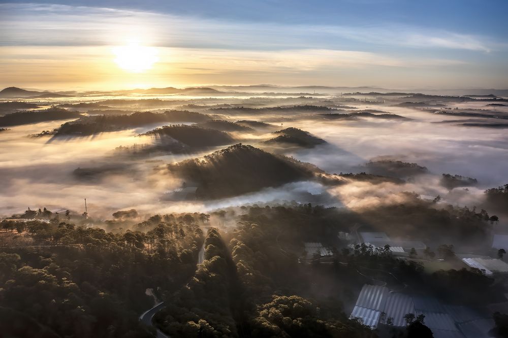 Photograph by PARTHA ROY