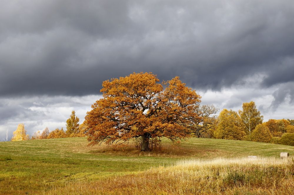 Фотография автора Сергей Барановский
