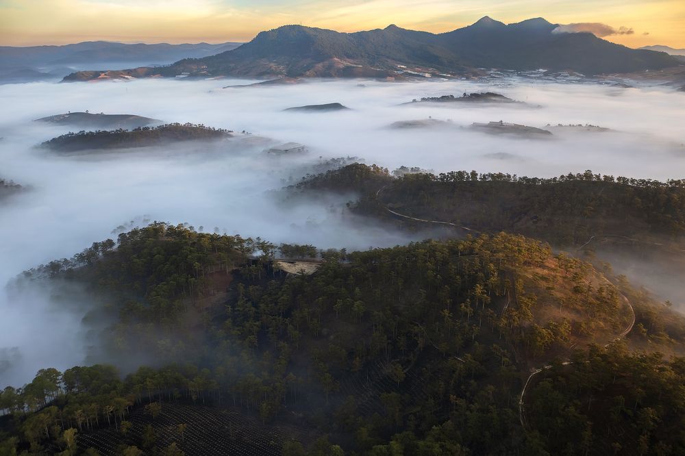 Photograph by PARTHA ROY