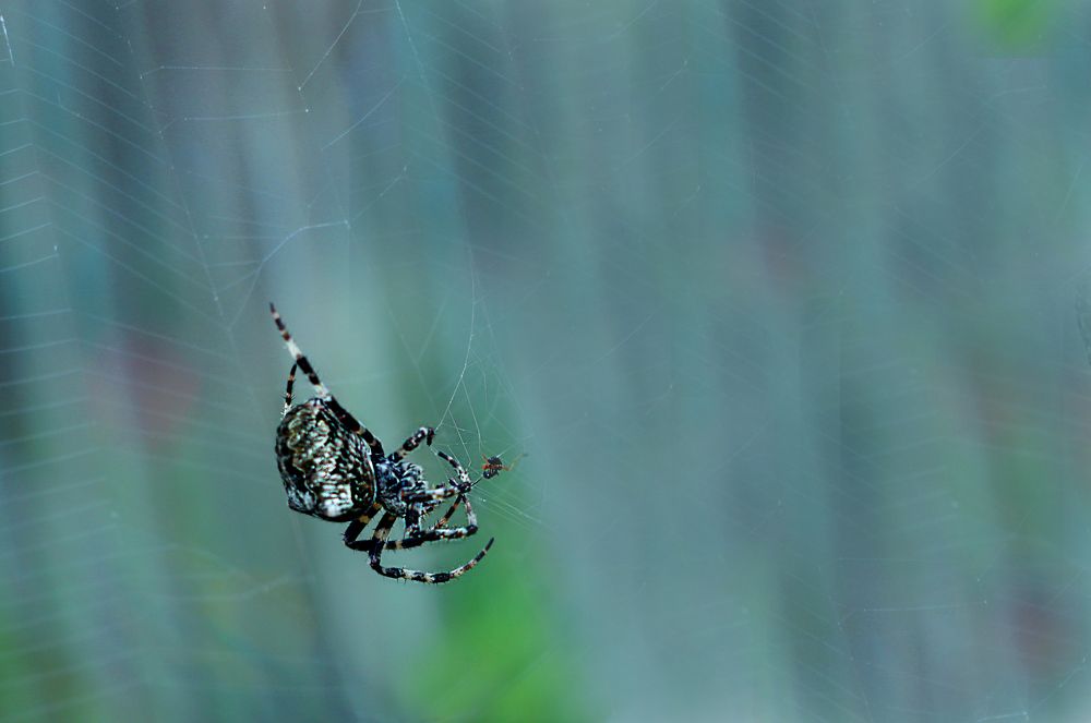 Photograph by Владимир Полотов