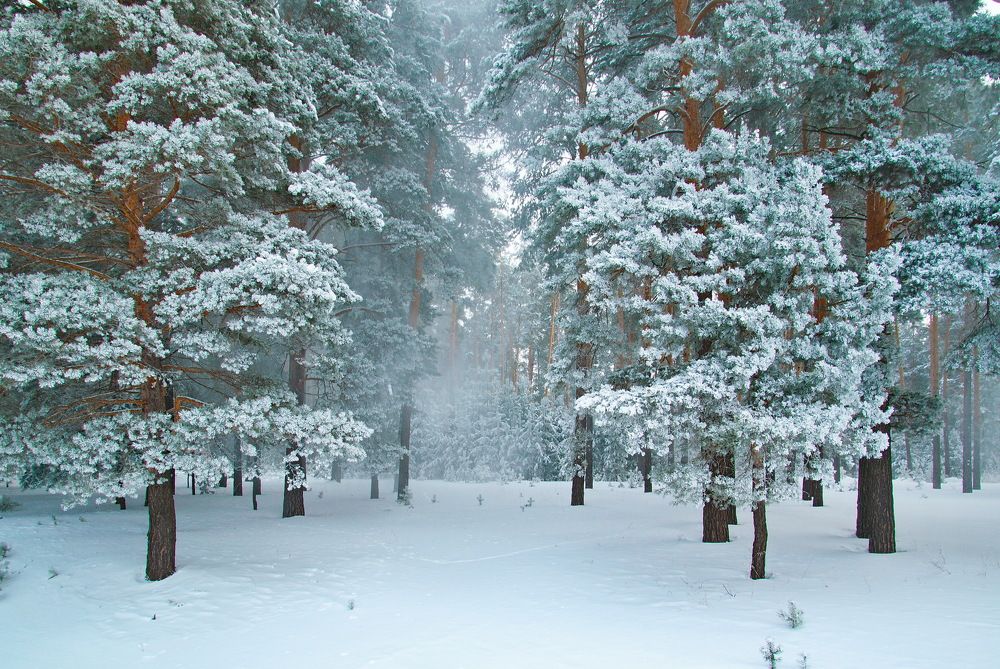 Photograph by Василий Быстрицкий