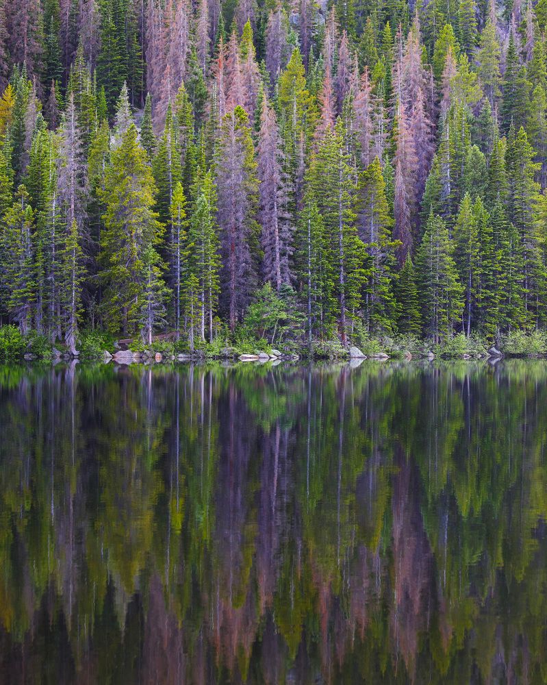 Photograph by Lana Anferow