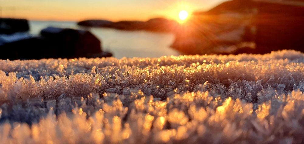 Photograph by Elisabeth Vinther