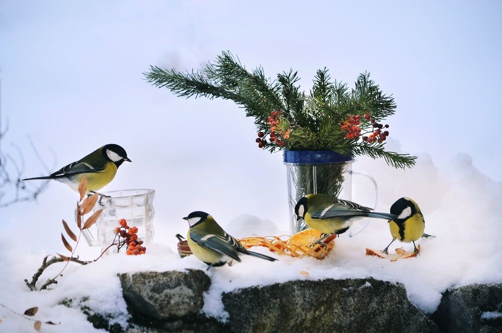 Photograph by Светлана Лехмус