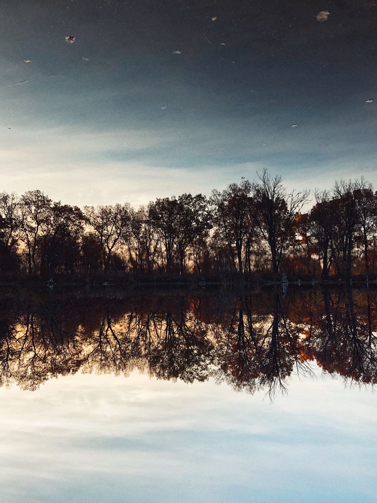 Photograph by Юлия Зубова