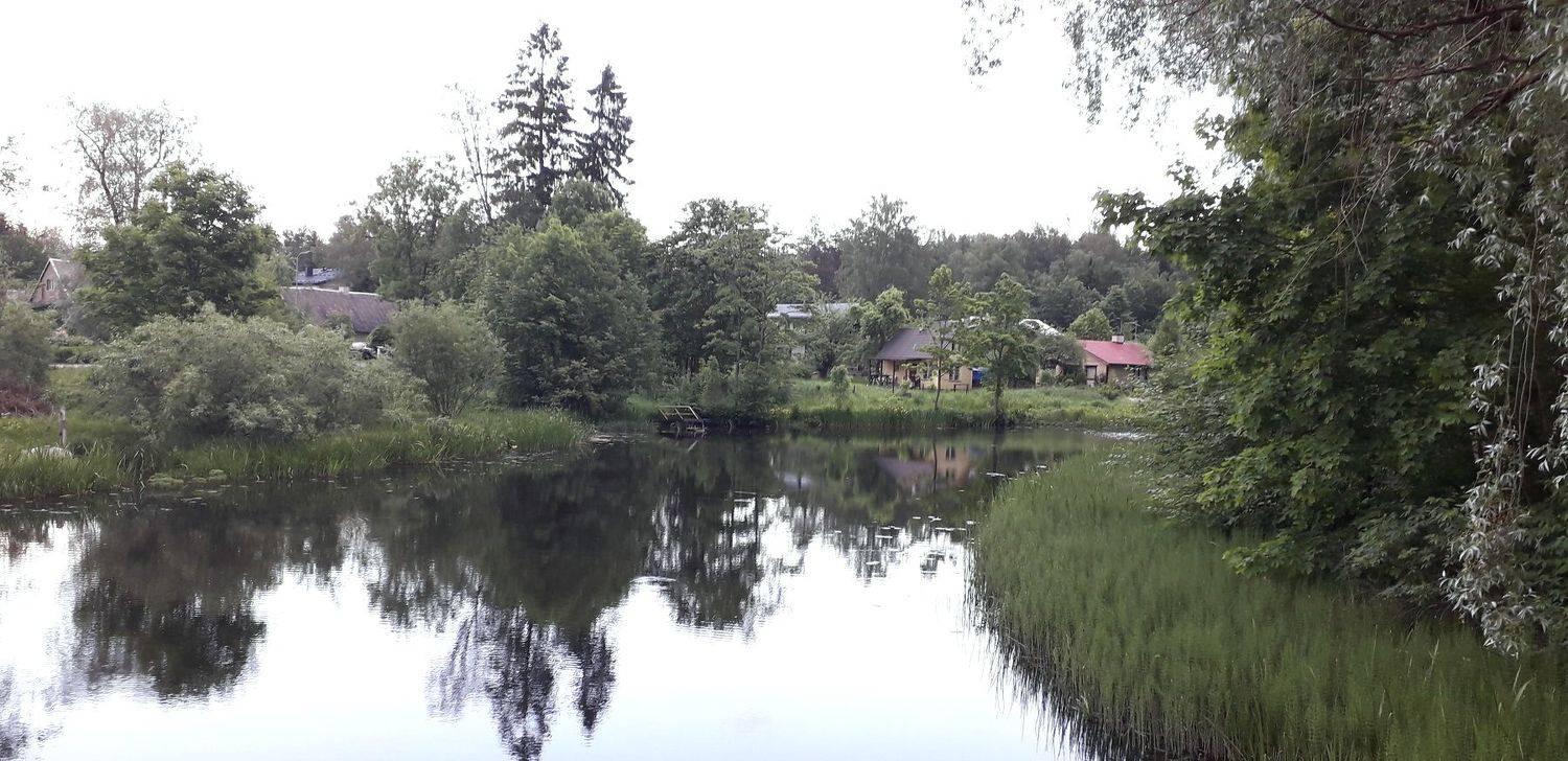 Photo #7048495