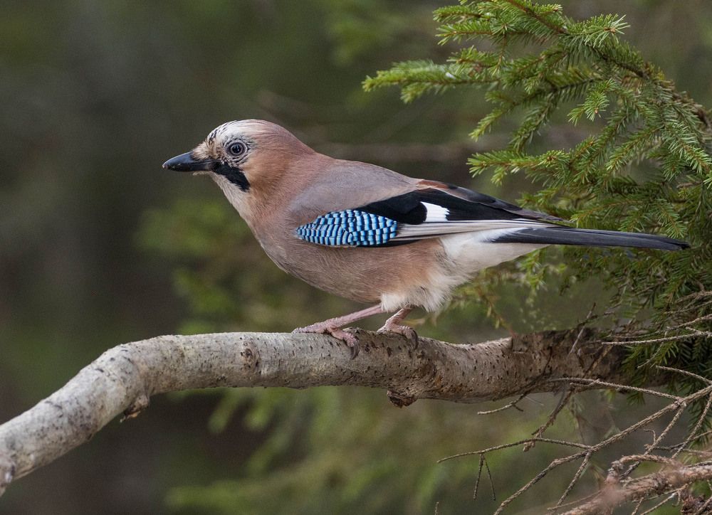 Photograph by Павел Бабенко