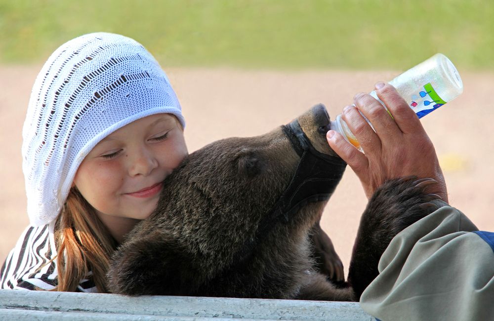 Photograph by Николай Чебанов