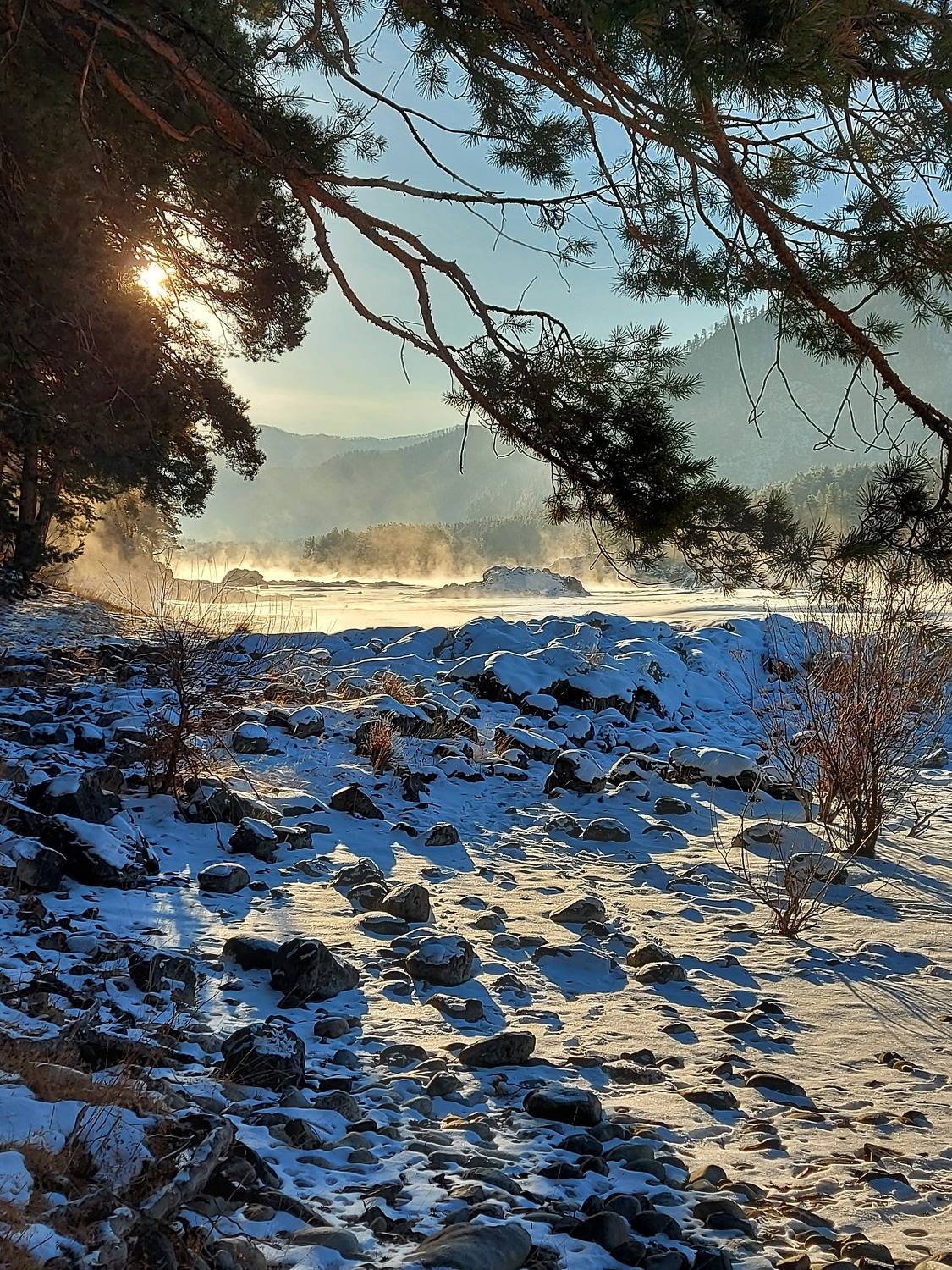 Photo #7048558
