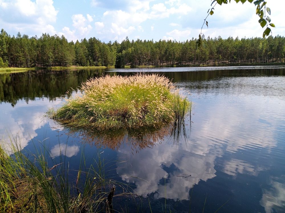 Photograph by Ольга Анисимова