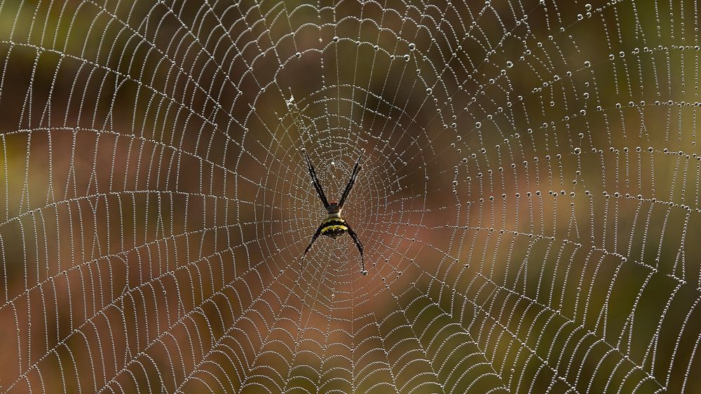 Photograph by Suryakant Sajjan