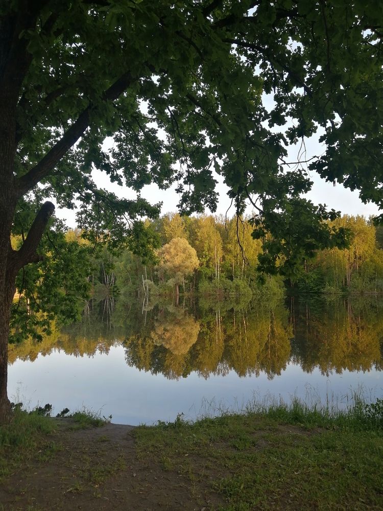 Photograph by Ольга Анисимова