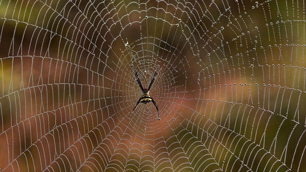 Photograph by Suryakant Sajjan