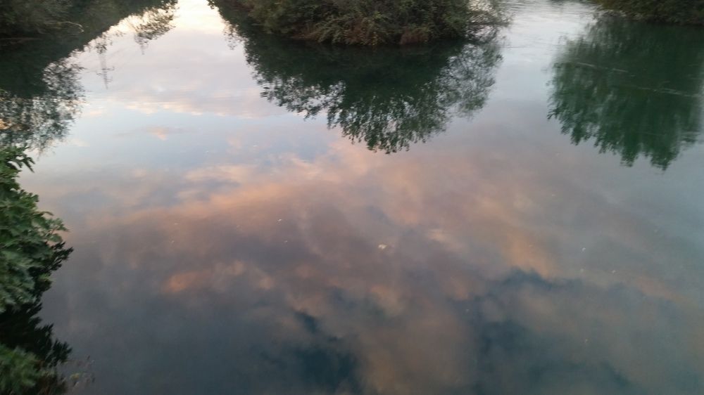 Photograph by Svetlana Dobrilovic
