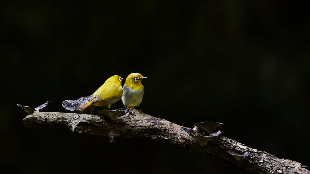 Photograph by Suryakant Sajjan