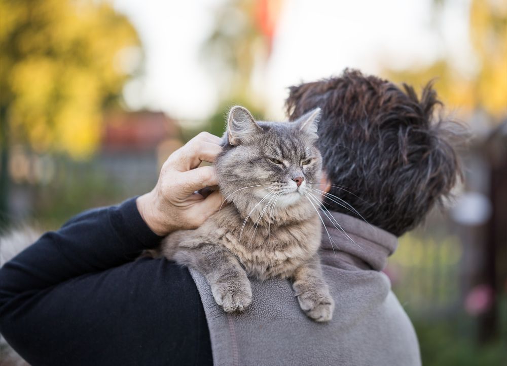 Photograph by Зеленько Дмитрий