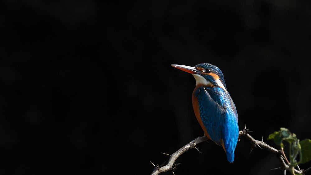 Photograph by Suryakant Sajjan