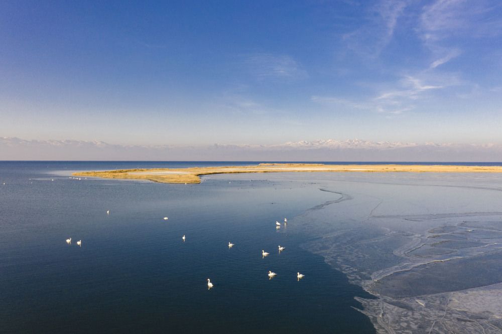 Фотография автора Myrzabek Ozubekov