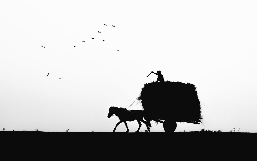 Photograph by Shalahuddin Ahmed