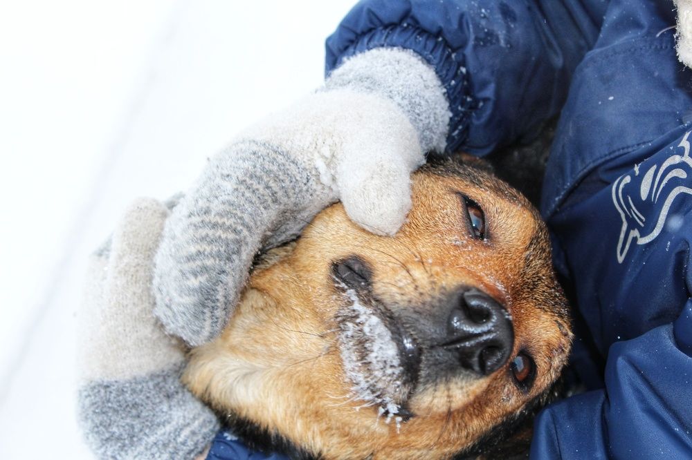 Photograph by Наталья Горбачева