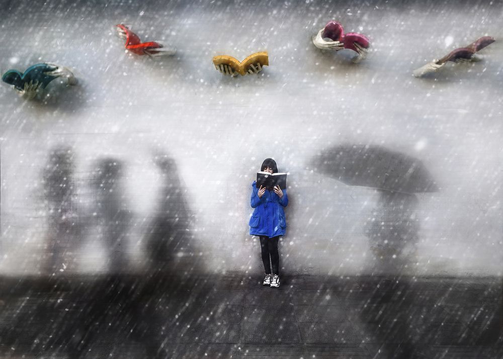 Photograph by amir badrazimi