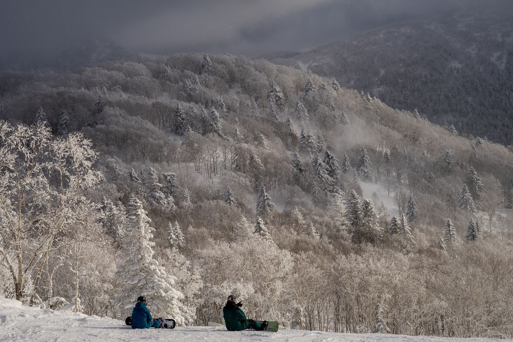 Катаясь по сказочным лесам
