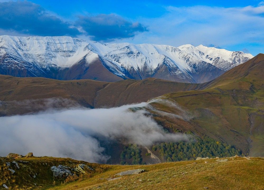 Утренний туман